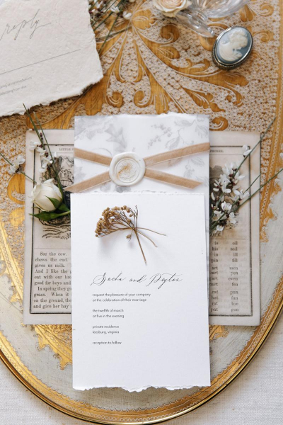 Modern wedding invitation with toile vellum overlay, velvet ribbon and wax seal. Modern calligraphy wedding invitations