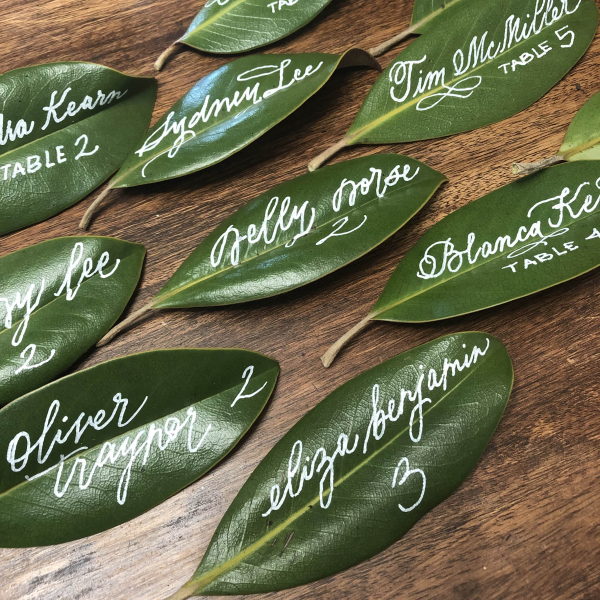 white ink calligraphy on magnolia leaves